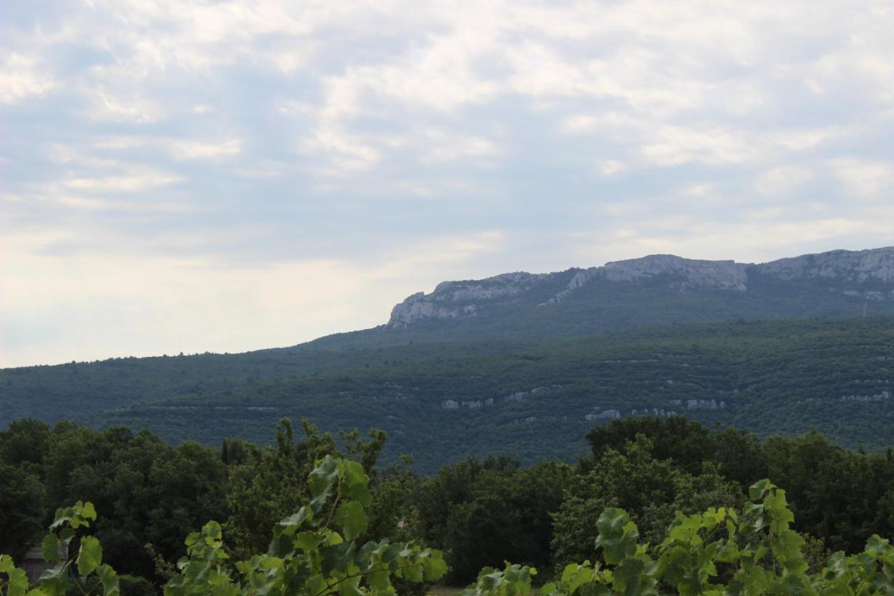 楠莱潘Chez Elles En Provence别墅 外观 照片
