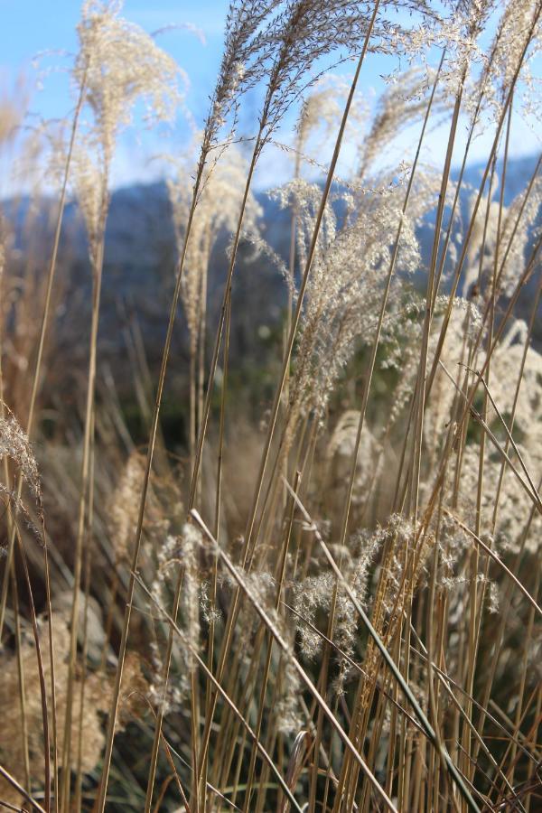 楠莱潘Chez Elles En Provence别墅 外观 照片