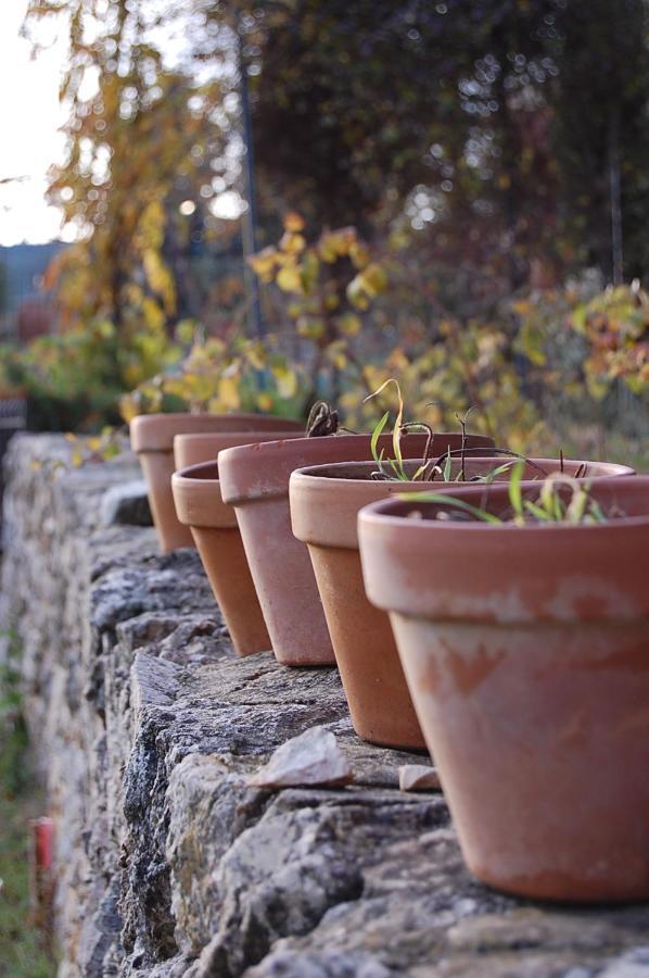 楠莱潘Chez Elles En Provence别墅 外观 照片